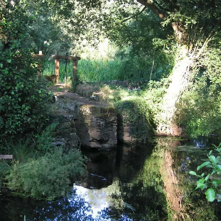 15th Century River Mill - Molino S Xv - Moulin Xve Siecle - Muhle Aus Dem 15 Jh * Cospeito