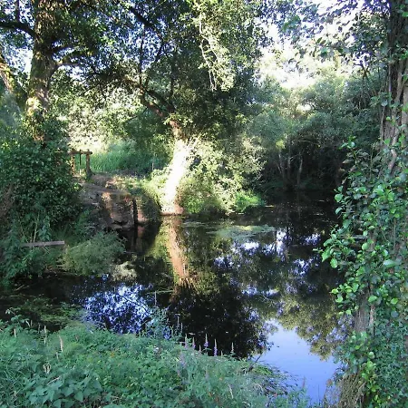 15th Century River Mill - Molino S Xv - Moulin Xve Siecle - Muhle Aus Dem 15 Jh Cospeito