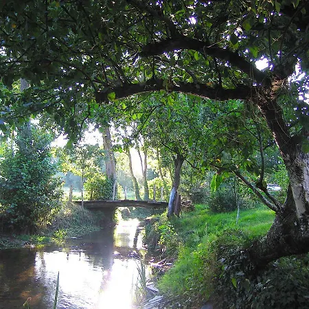 Villa 15th Century River Mill - Molino S Xv - Moulin Xve Siecle - Muhle Aus Dem 15 Jh Cospeito